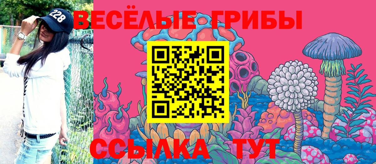 Псилоцибиновые грибы Psilocybe  Вход с VPN  Волхов  Галлюциногенные грибы мицелий 