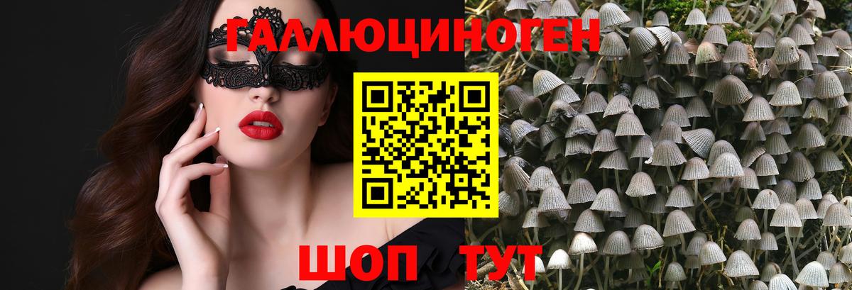 Псилоцибиновые грибы Magic Shrooms Волхов