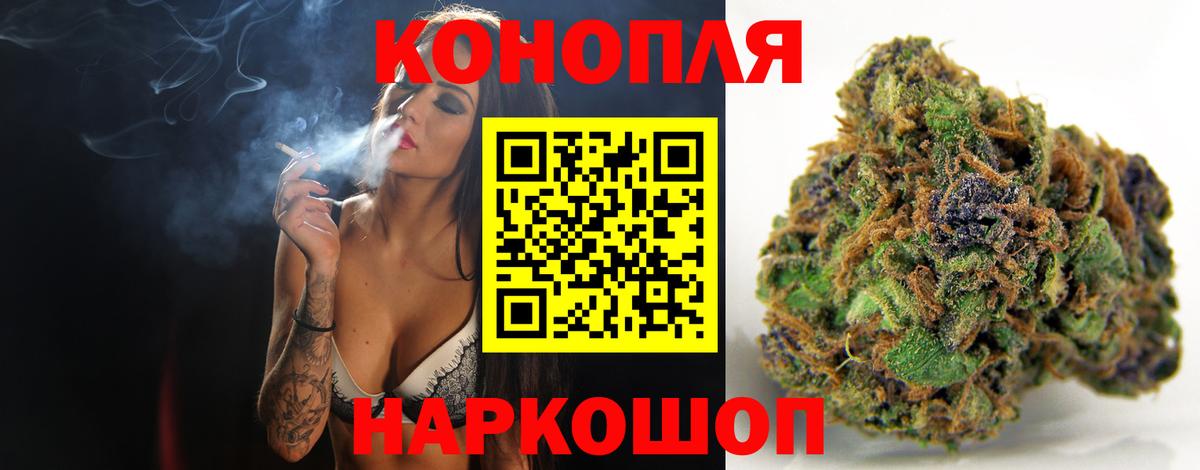 Бошки марихуана план Волхов
